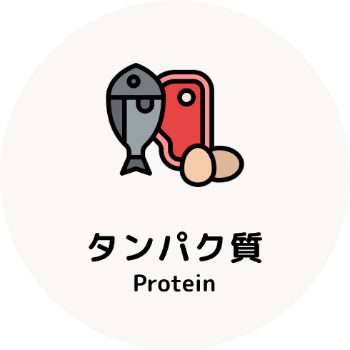 たんぱく質 Protein